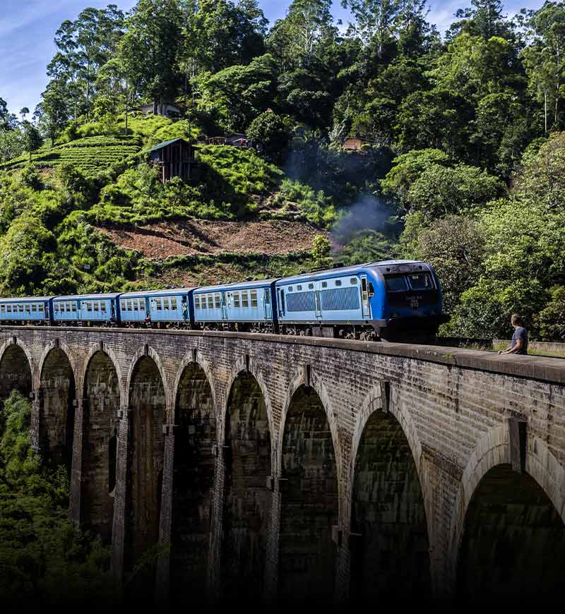 nine arch bridge ella