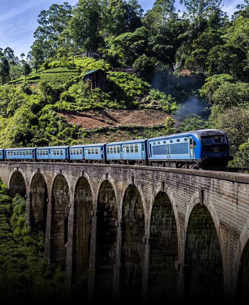 nine arch bridge ella